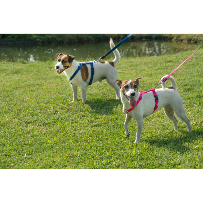 Поводок GimDog Harlem для собак розовый 120 см - фото №2