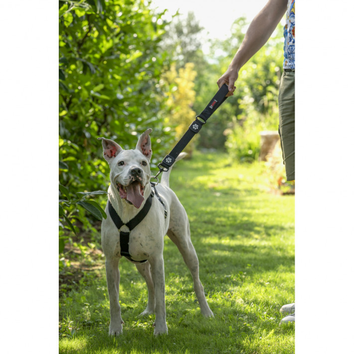 Шлея GimDog Harlem H для собак чорна - фото №2