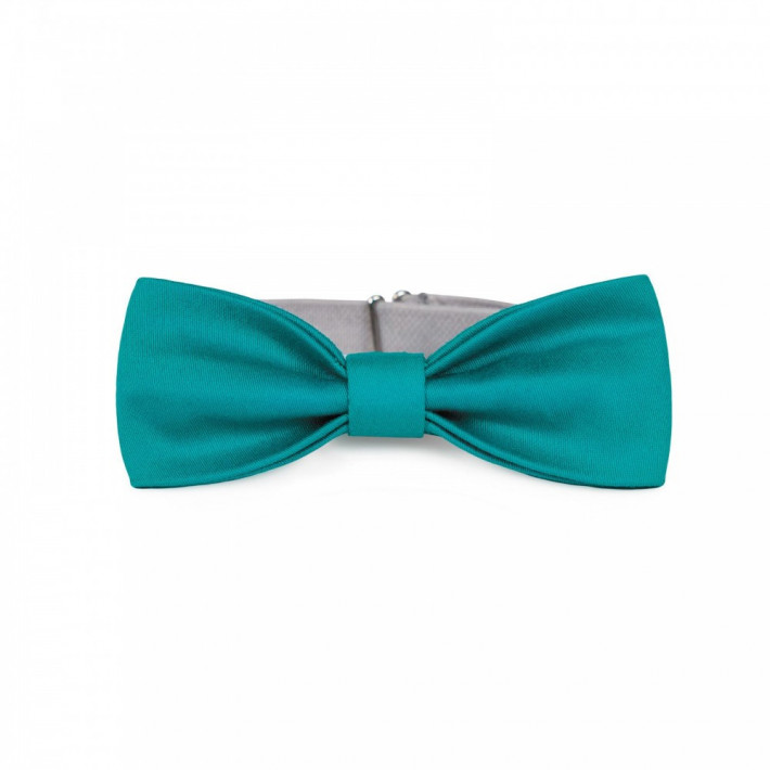 Метелик Pet Fashion XS-M бірюзовий