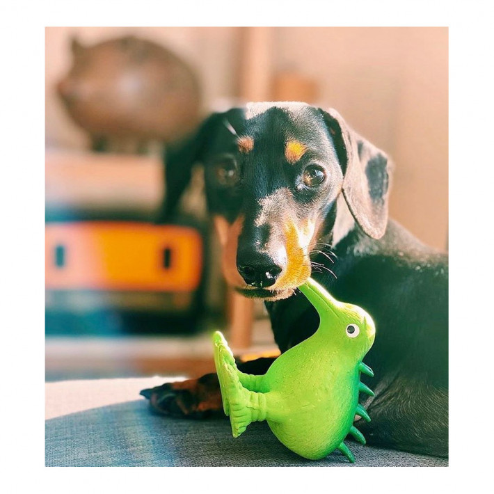 Іграшка Kiwi Walker для собак Птах Ківі зелений 15,5 см - фото №4