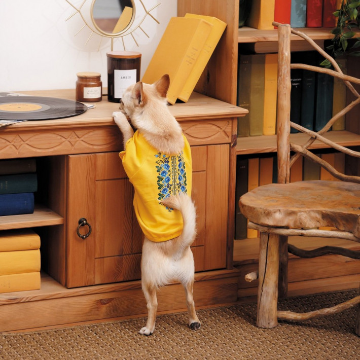 Футболка для собак Pet Fashion Maria жовта - фото №3