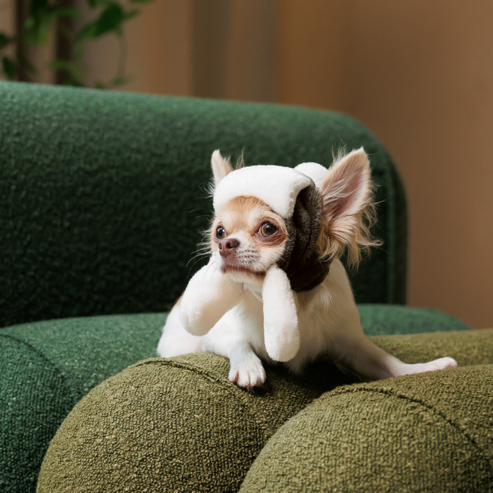 Шапка Pet Fashion Bubo для собак хакі S - фото №4