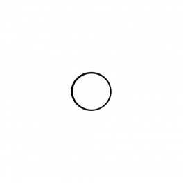 Кільце Hagen ущільнююче для Laguna Pressure-Flo UV-C Head O-Ring