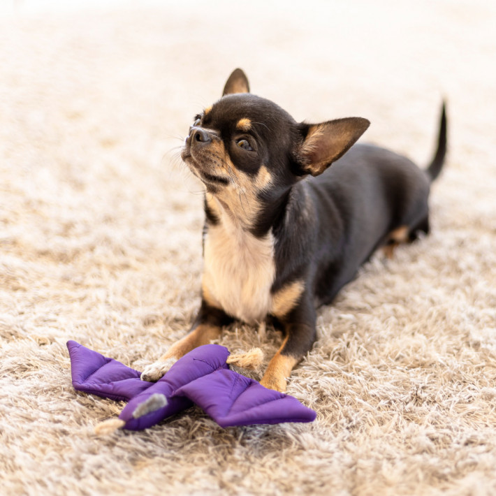 Іграшка Pet Fashion Кажан для собак зелений 15х23 см - фото №7