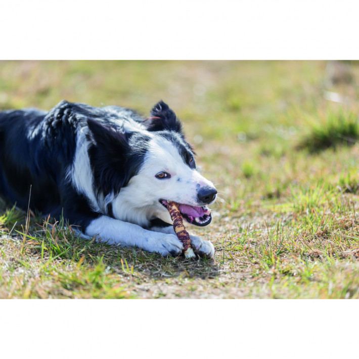 Ласощі Trixie Denta Fun Duck Pretzel для собак - фото №3