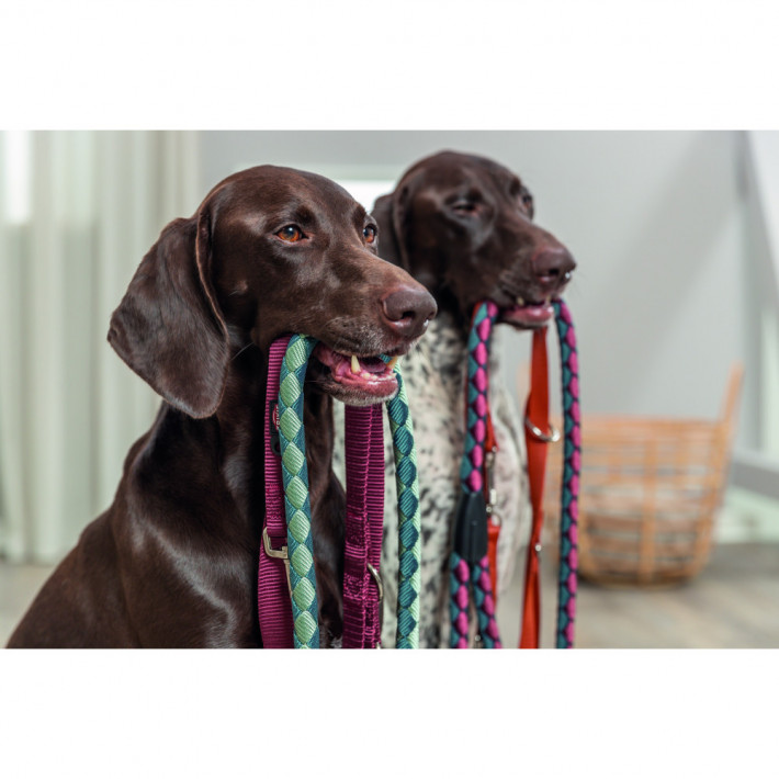 Повідок Trixie Premium для собак регульований двошаровий L–XL 2 м 25 мм бордовий - фото №3