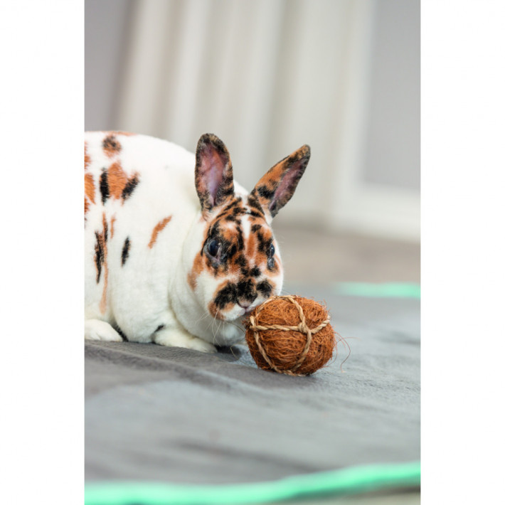 Іграшка Trixie для гризунів Кокосовий м'яч 6 см - фото №3