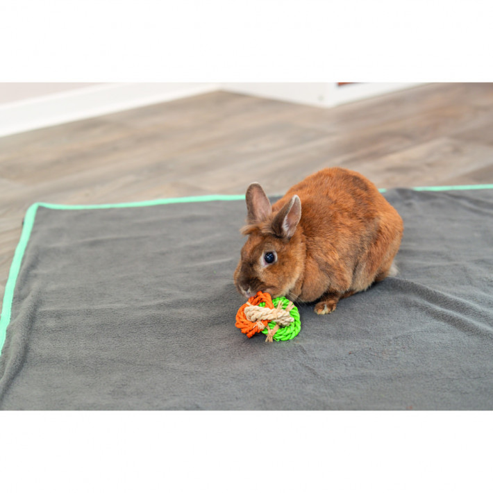 Іграшка Trixie для гризунів Кільця з кукурудзяного листя - фото №3