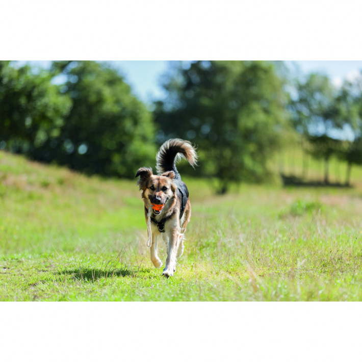 Іграшка Trixie для собак М'яч на мотузці плавучий - фото №3