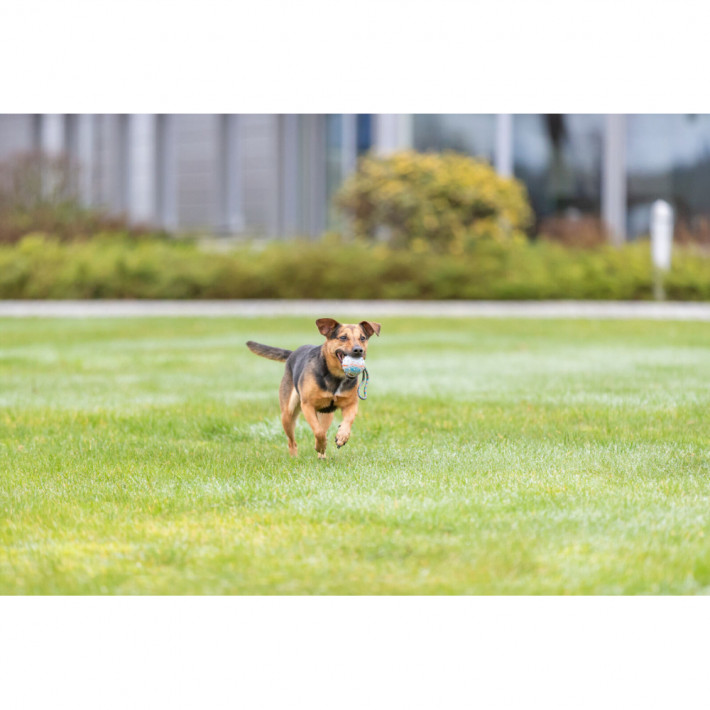 Іграшка Trixie Куля з мотузкою для собак - фото №2