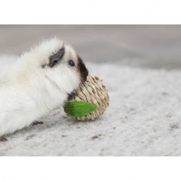 Игрушка Trixie для грызунов Яблоко из кукурузной шелухи 7 см - фото №3