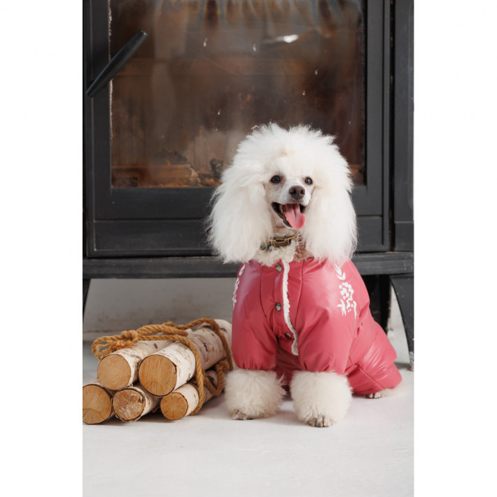 Комбінезон для собак Pet Fashion Cherry (L, дівчинка) - фото №4