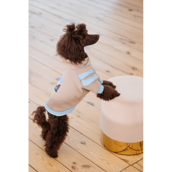 Худі Pet Fashion Home для собак дівчаток, бежеве - фото №5