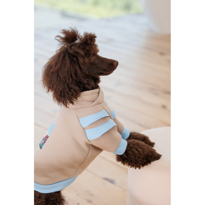 Худі Pet Fashion Home для собак дівчаток, бежеве - фото №6