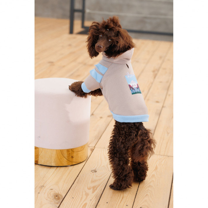 Худі Pet Fashion Home для собак дівчаток (XS) - фото №8