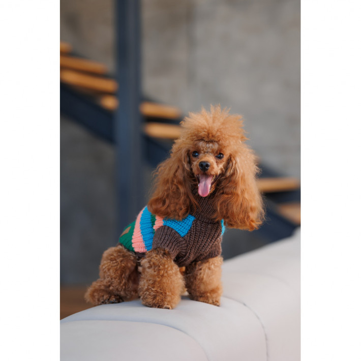 Светр для собак Pet Fashion Happy XXS - фото №4