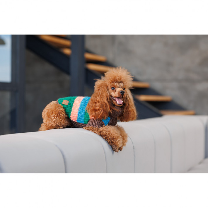 Светр для собак Pet Fashion Happy XXS - фото №5