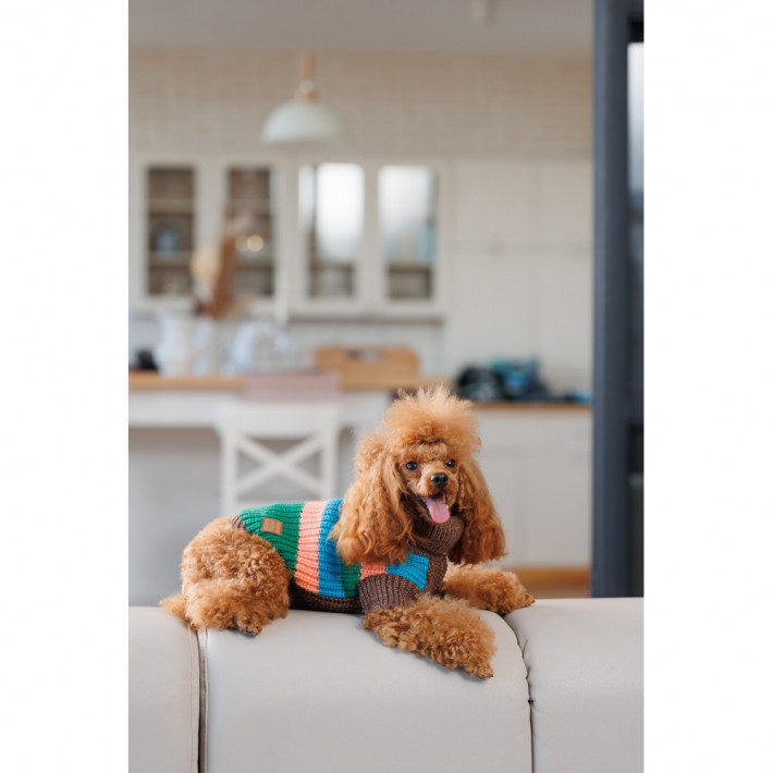 Светр для собак Pet Fashion Happy XXS - фото №6