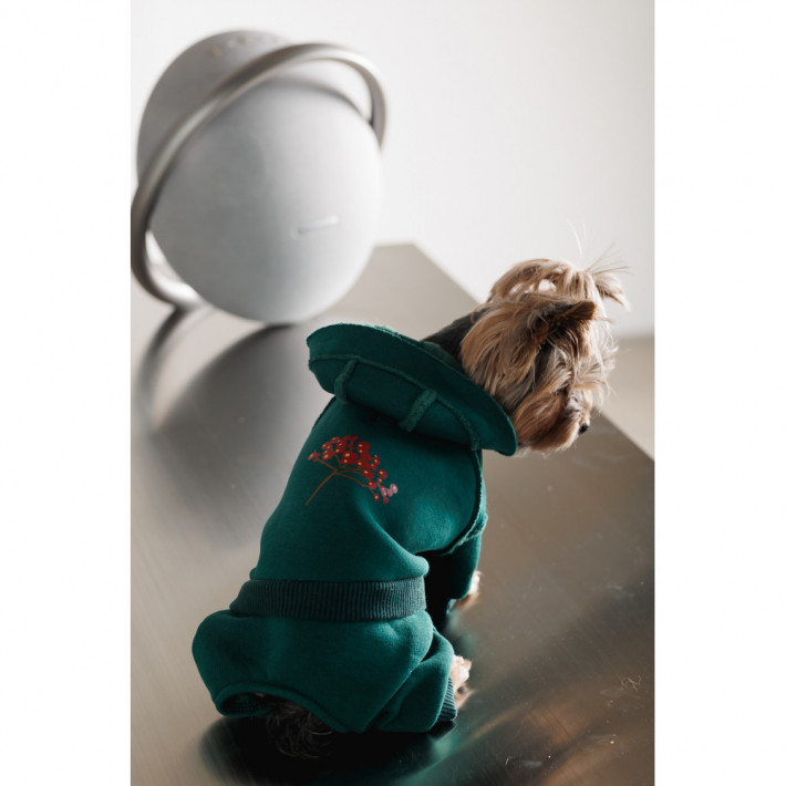 Костюм Berry S для собак от Pet Fashion - фото №4