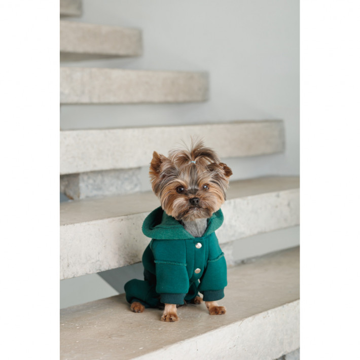 Костюм Berry XS2 для собак Pet Fashion - фото №5