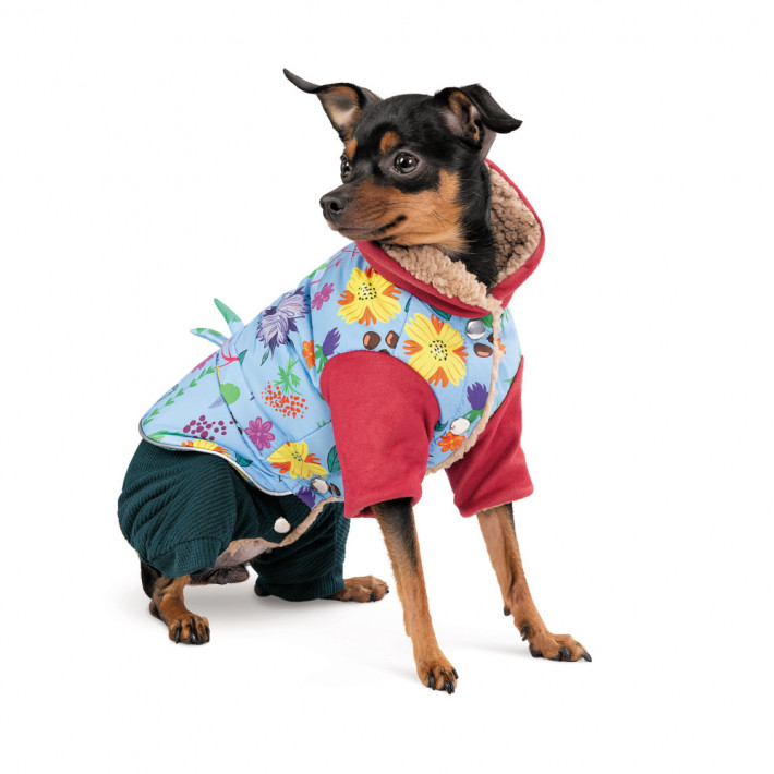 Костюм для собак Pet Fashion Alisa (дівчинка, розмір M) - фото №2