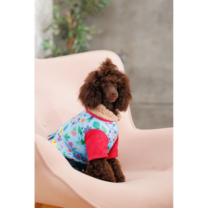 Костюм для собак Pet Fashion Alisa XS2 - фото №4