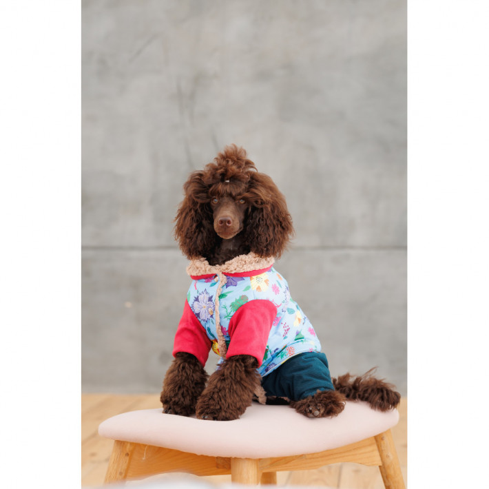 Костюм для собак Pet Fashion Alisa XS - фото №6