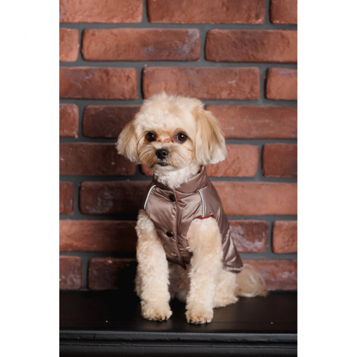 Жилет Hardy XL для собак від Pet Fashion - фото №9