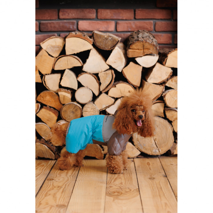 Комбінезон Pet Fashion Сharlie для собак (розмір M) - фото №6