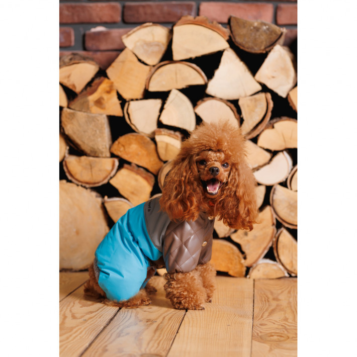 Комбінезон Pet Fashion Сharlie для собак (розмір M) - фото №9