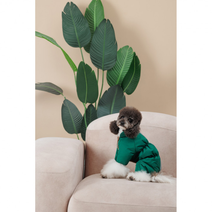 Комбінезон Pet Fashion EGO S2 зелений для собак - фото №9