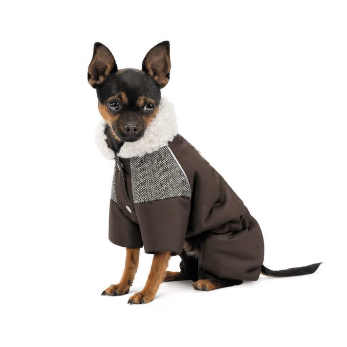 Костюм для собак Pet Fashion Locky S2 - фото №3
