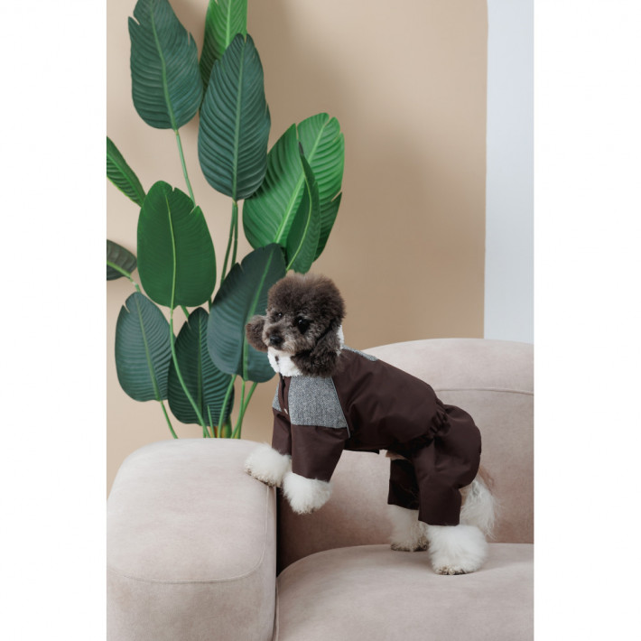 Костюм для собак Pet Fashion Locky S2 - фото №4