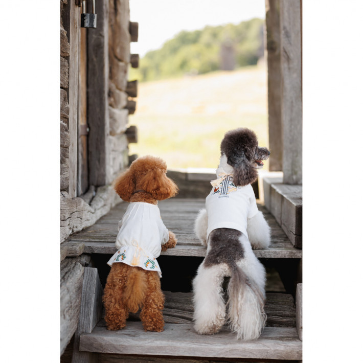 Вишиванка для собак Pet Fashion Maryana XS (дівчинка) - фото №5