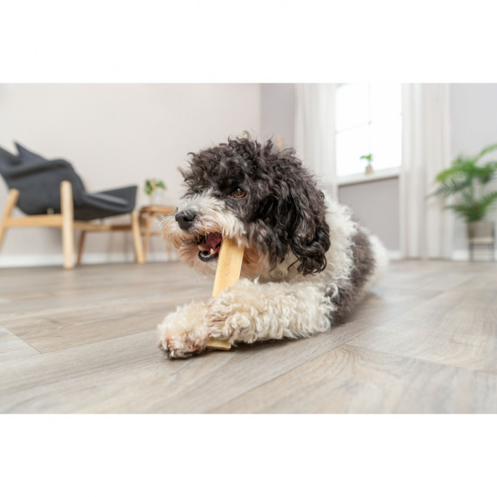 Ласощі Trixie Chewing cheese для собак, S: 13.5 см, 45 г - фото №2