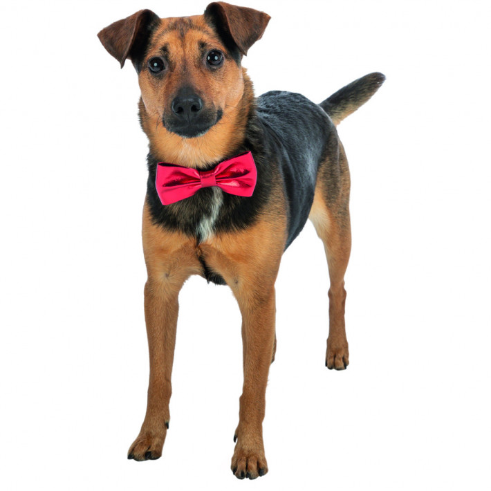 Аксесуар Trixie для собак Різдвяний метелик 10 см - фото №2