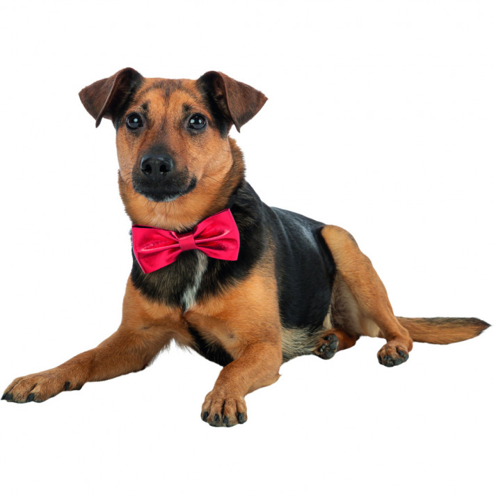 Аксесуар Trixie для собак Різдвяний метелик 10 см - фото №4