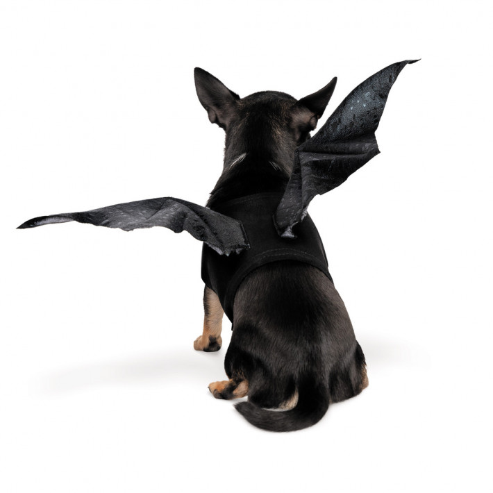 Аксессуар Pet Fashion Web XS/XS2 - фото №3