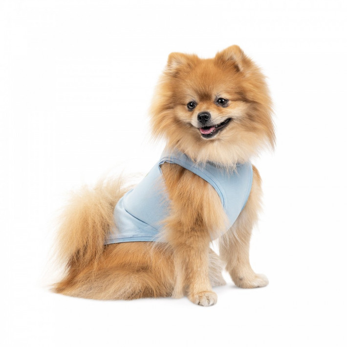 Майка для собак Pet Fashion Adam M (блакитна) - фото №2