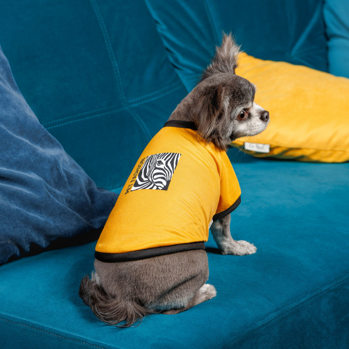 Футболка Pet Fashion Jessica для собак жовта XS2 - фото №4