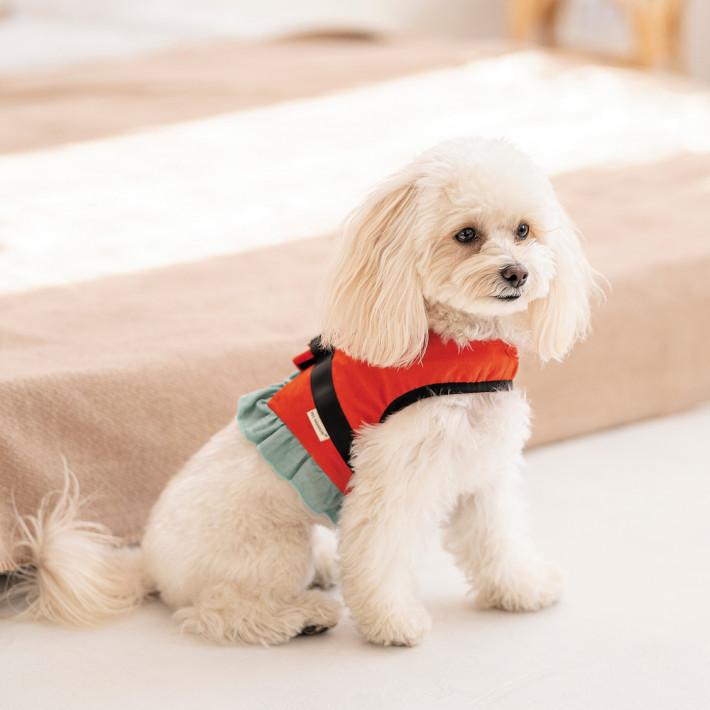 Шлея Monika ТМ Pet Fashion для собак XS2 - фото №4