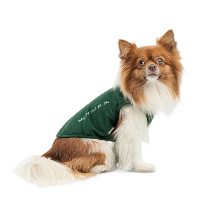 Борцовка Kale ТМ Pet Fashion для собак L зеленая - фото №2