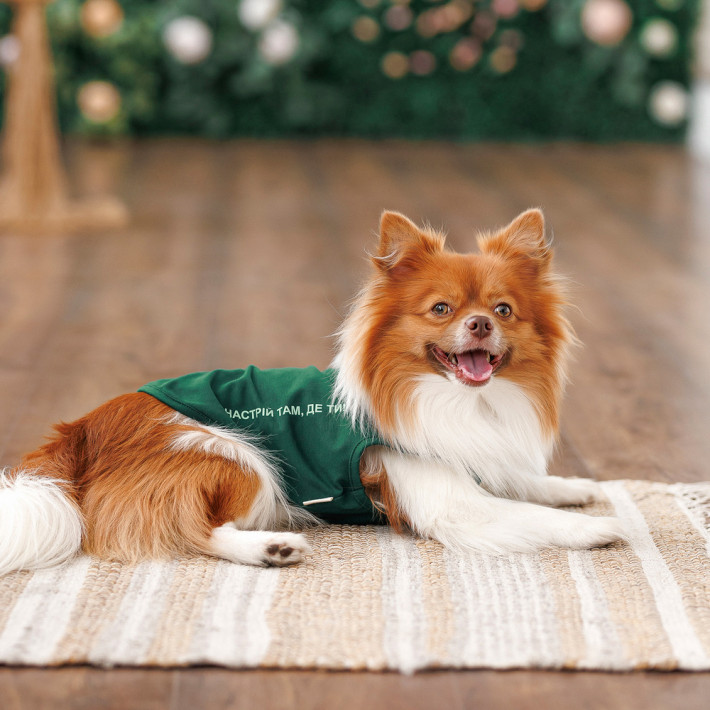 Борцовка Kale ТМ Pet Fashion для собак L зеленая - фото №4