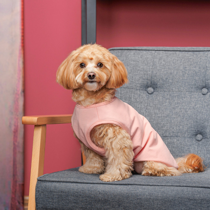 Борцівка Kale ТМ Pet Fashion для собак XS2 рожева - фото №4