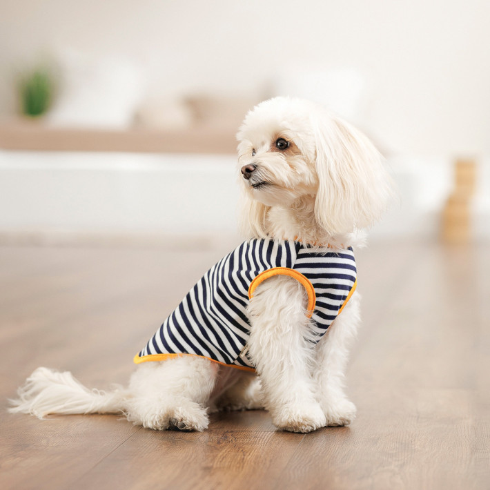 Борцовка Kale ТМ Pet Fashion для собак L полосатая - фото №4