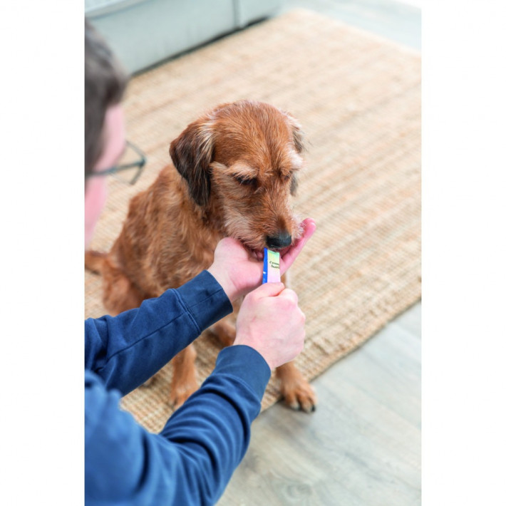 Лакомство Trixie Creamy Snacks для собак с курицей - фото №4