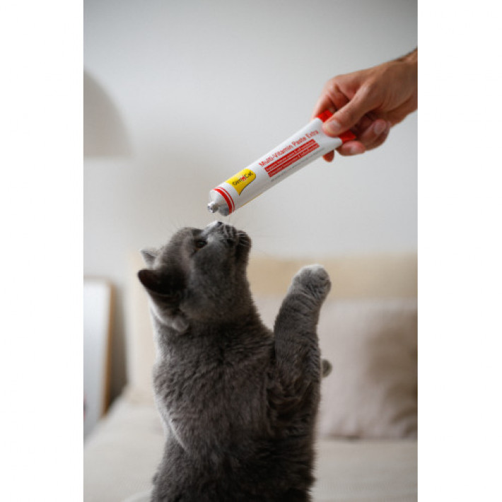 Мультивітамінна паста GimCat Every Day Extra для котів, 200 г