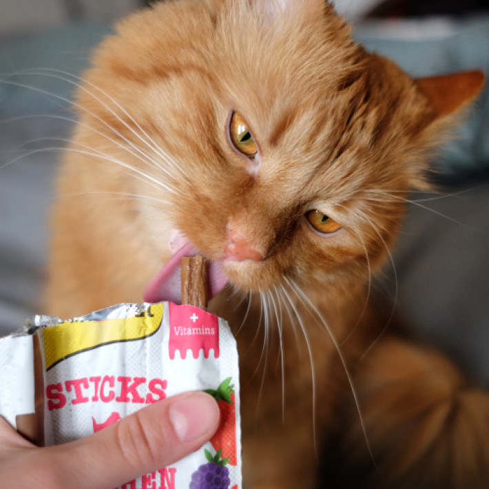 Ласощі GimCat М’ясні палички для котів, курка та лісові ягоди, 3 шт по 5 г