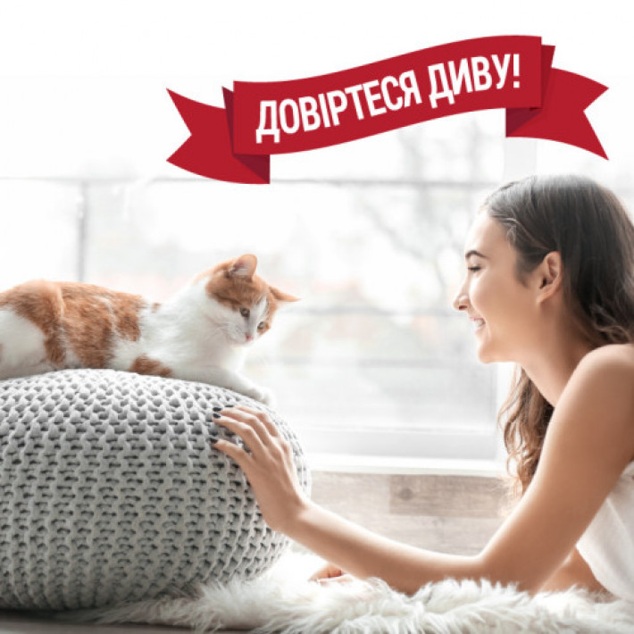 Спрей 8in1 NM ADV Cat S&O Elimin Spray Lemon для котів, усунення плям та запахів, з посиленою формулою, аромат лимону, 946 мл