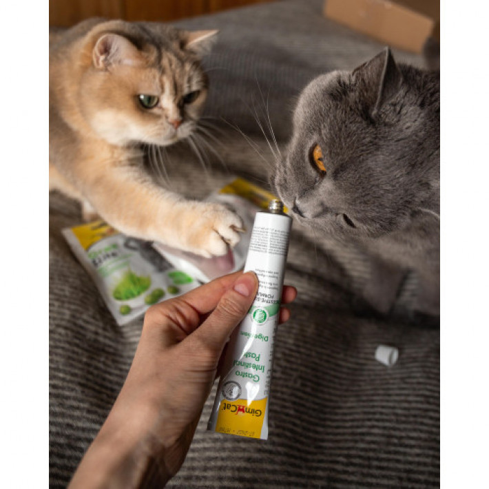Вітаміни GimCat Expert Line Gastro Intestinal для котів, покращення травлення, 50 г